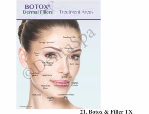 Botox Charting Sheet