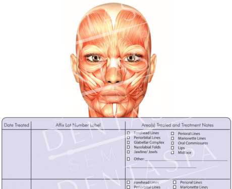 Patient Treatment Record 1